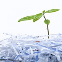 document destruction