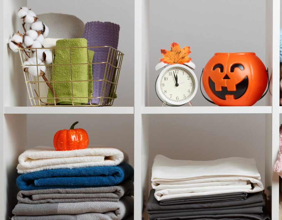 Halloween Storage 25