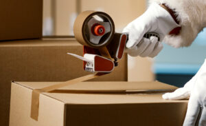 christmas season storage box up