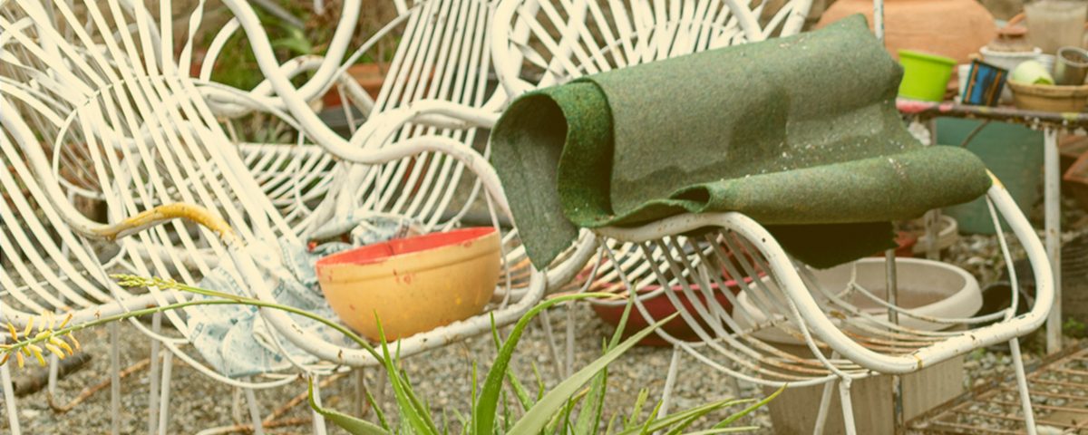 Switch Season Tips garden