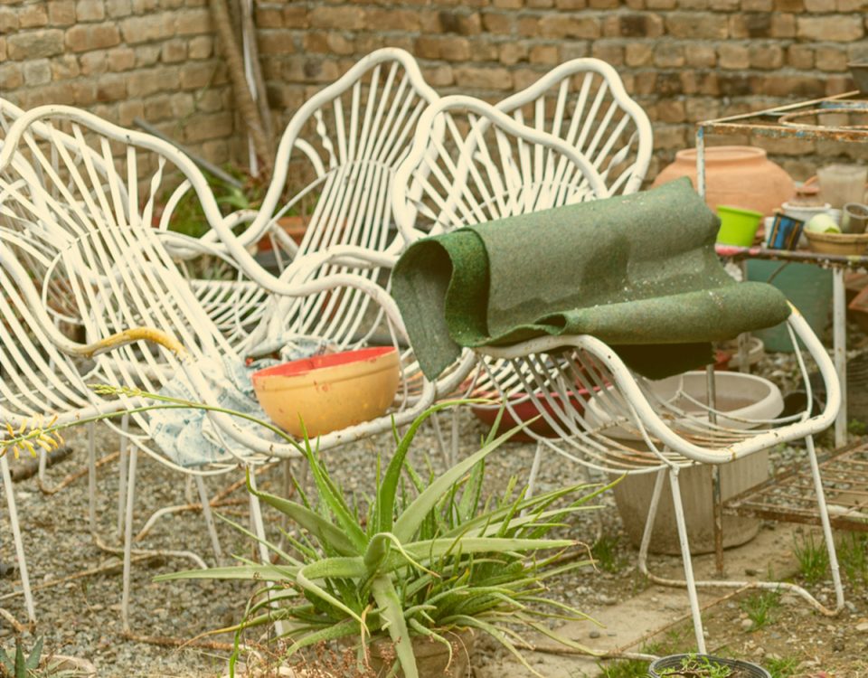 Switch Season Tips garden